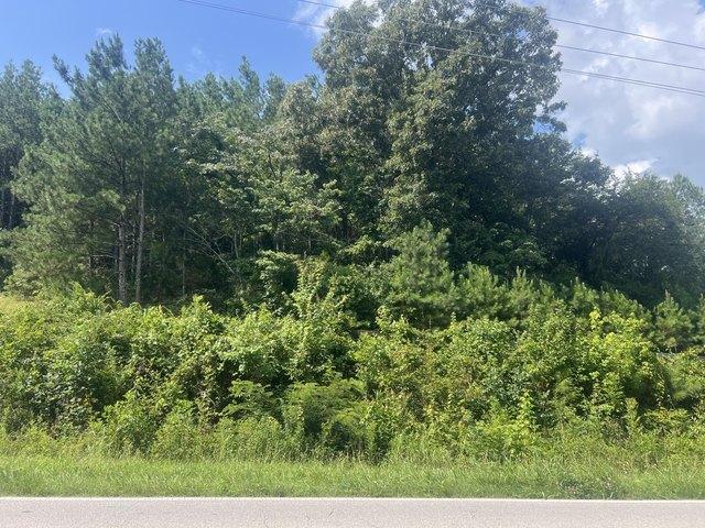 Land for sale in Ringgold, Georgia