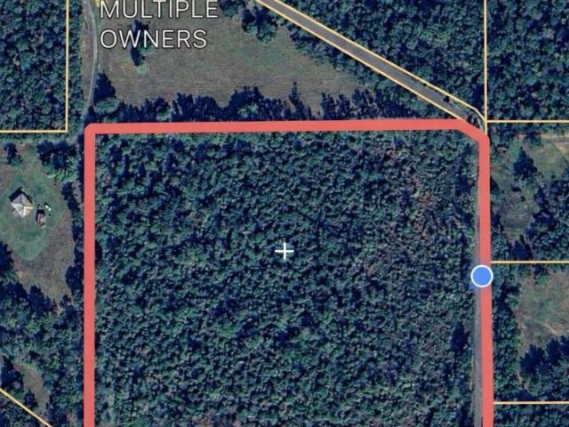 Land for sale in Hillister, Texas
