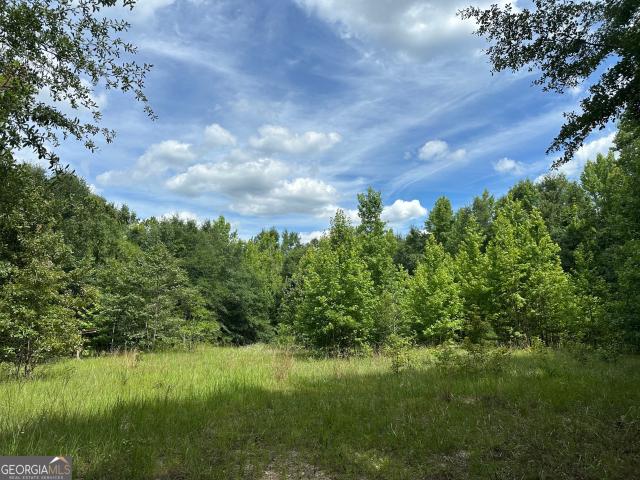 Land for sale in Wilkinson, Georgia