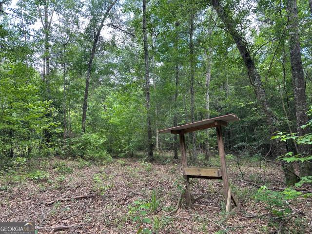 Land for sale in Wilkinson, Georgia