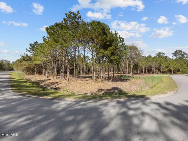 Land for sale in Vandemere, North Carolina