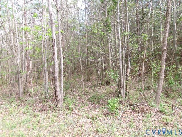 Land for sale in Virginia