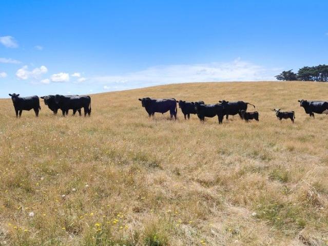 Acreage for sale in Thorpdale, Victoria