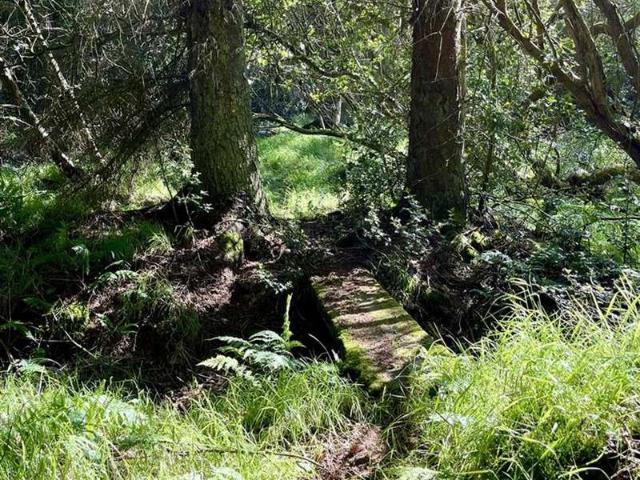 Property for sale in Stiperstones, Shropshire