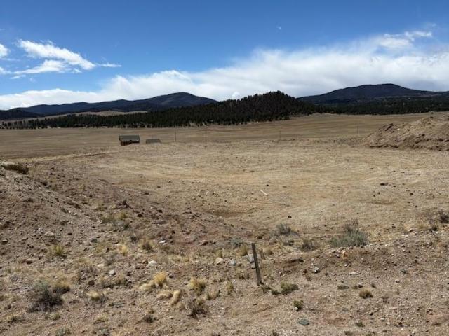 Land for sale in Hartsel, Park County