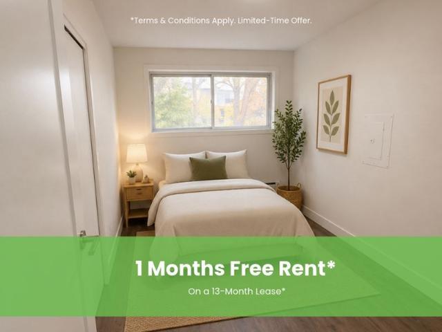 Apartment for rent in Malton, Mississauga