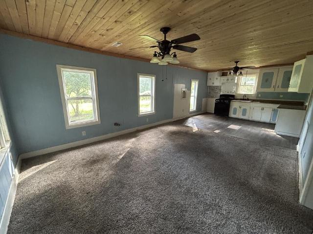 House for sale in Elba, Alabama