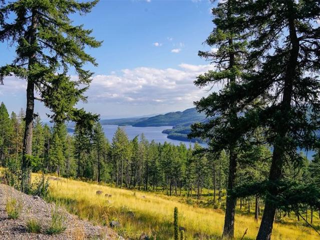 Land for sale in Whitefish, Montana