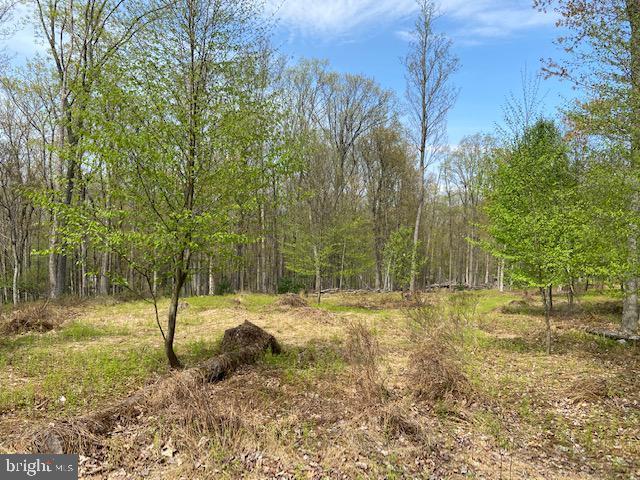 Land for sale in Drums, Pennsylvania