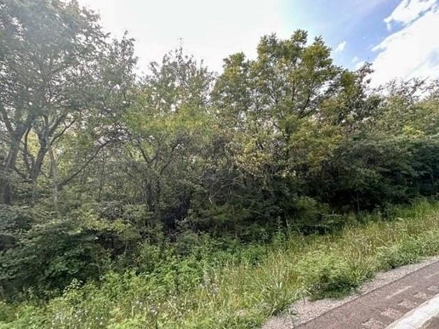 Farm for sale in Turney, Missouri