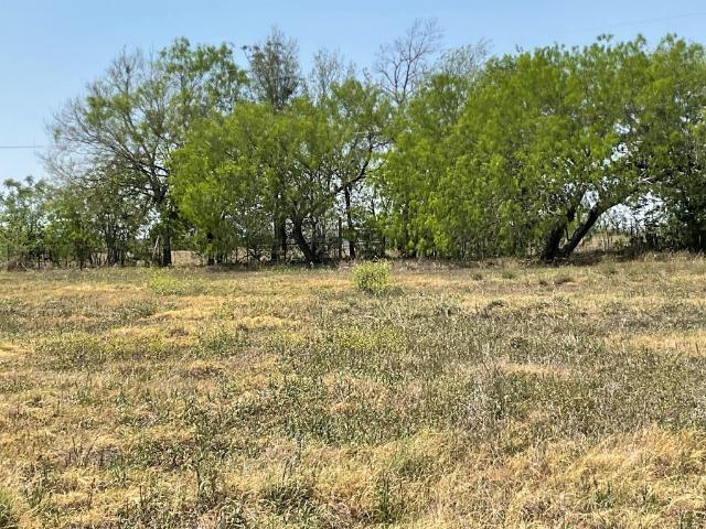 Land for sale in Belmont, Gonzales