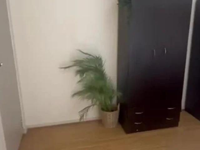 Room for rent in Sydney, New South Wales