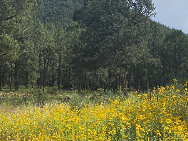 House for sale in Glorieta, New Mexico