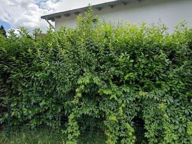 Apartment mieten in Eggersdorf, Steiermark