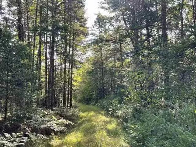 House for sale in Union Square, Nova Scotia
