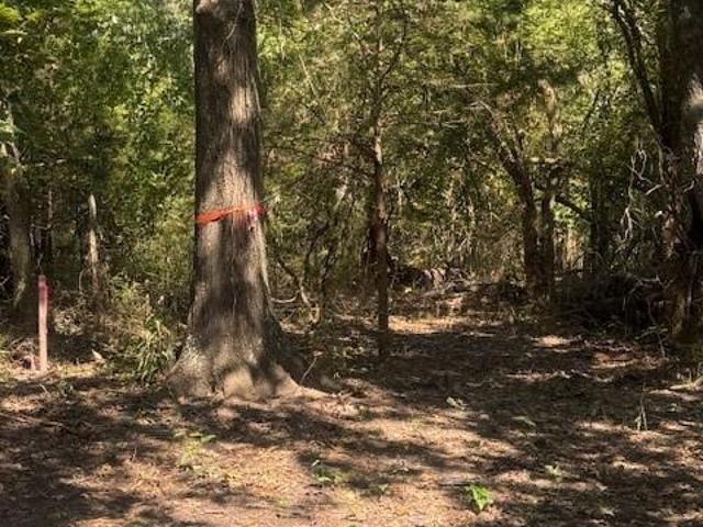 Land for sale in Hunt, Texas