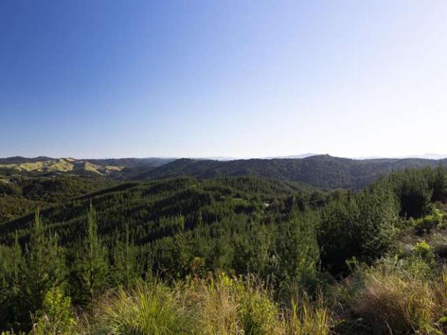 Property for sale in Karetu, Northland
