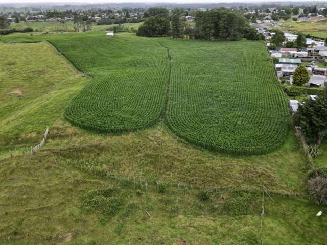 Property for sale in Putaruru, Waikato