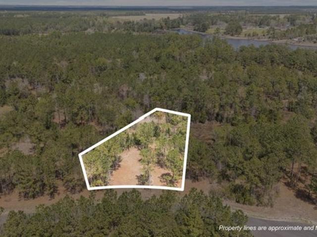 Land for sale in Vandemere, North Carolina