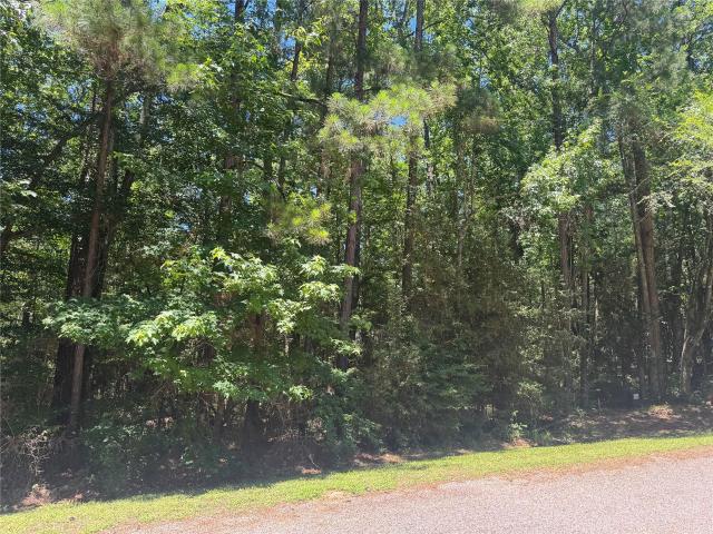 Land for sale in Coldspring, Texas
