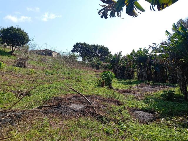 Property for sale in UMhlathuze Municipality, Kwazulu-natal