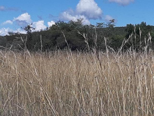 Property for sale in Potgietersrus, Limpopo
