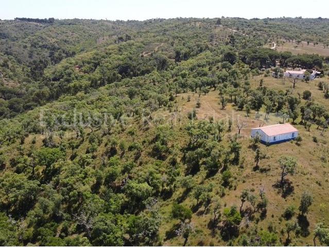 Terreno venda em Grândola, Setúbal