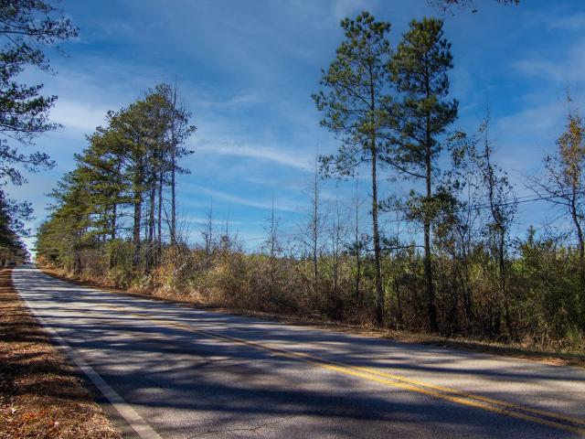 Land for sale in Talbot, Georgia