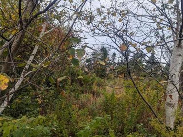 Land for sale in Manuels, Newfoundland And Labrador