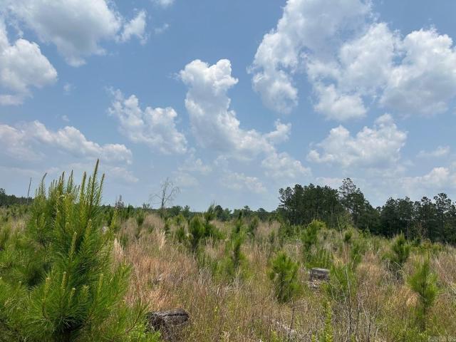 Land for sale in Ark
