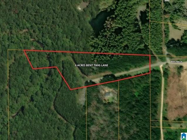 Land for sale in Brookwood, Alabama