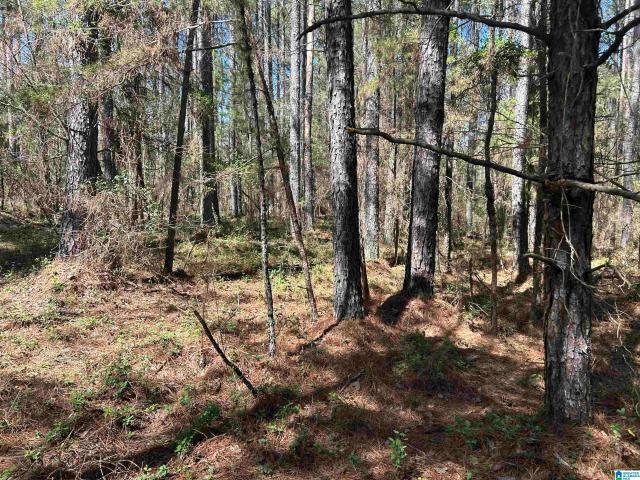 Land for sale in Brookwood, Tuscaloosa County