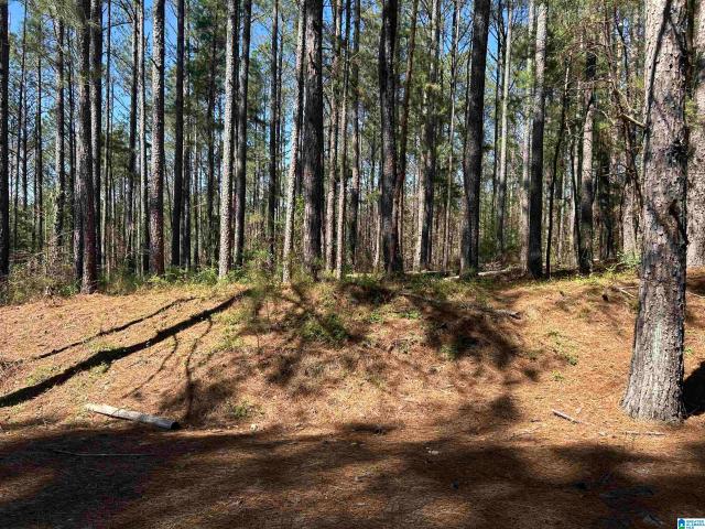 Land for sale in Brookwood, Alabama