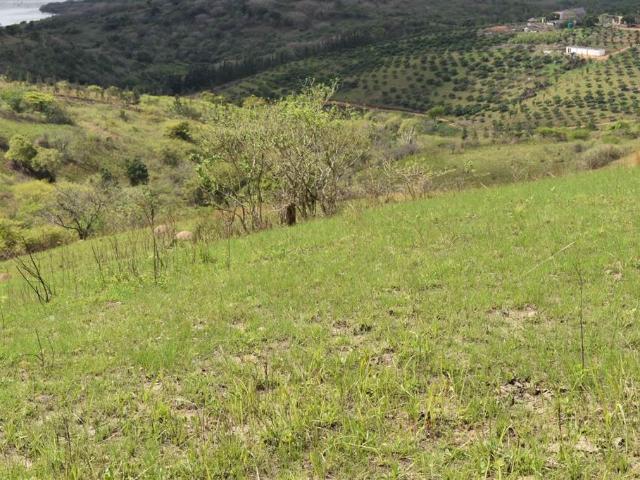 Farm for sale in Tongaat Beach, Kwazulu-natal