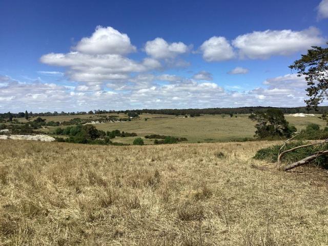 Land for sale in Scarsdale, Victoria
