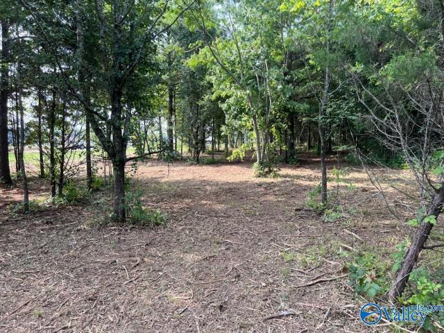 Land for sale in Trinity, Alabama