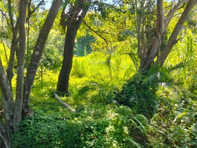 Property for sale in Ugu District Municipality, Kwazulu-natal