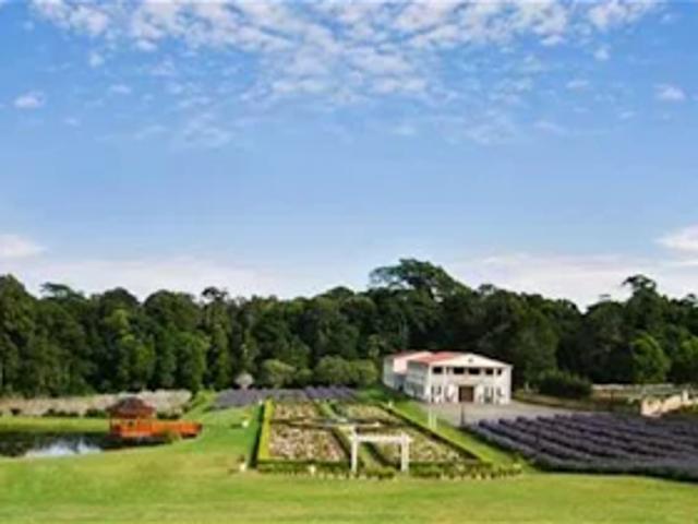 Retail for sale in Tamborine Mountain, Queensland