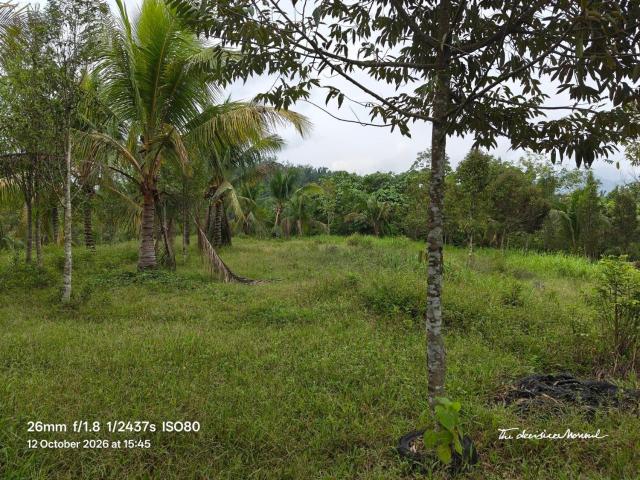 Property for rent in Rumah Murah Kerling, Kerling