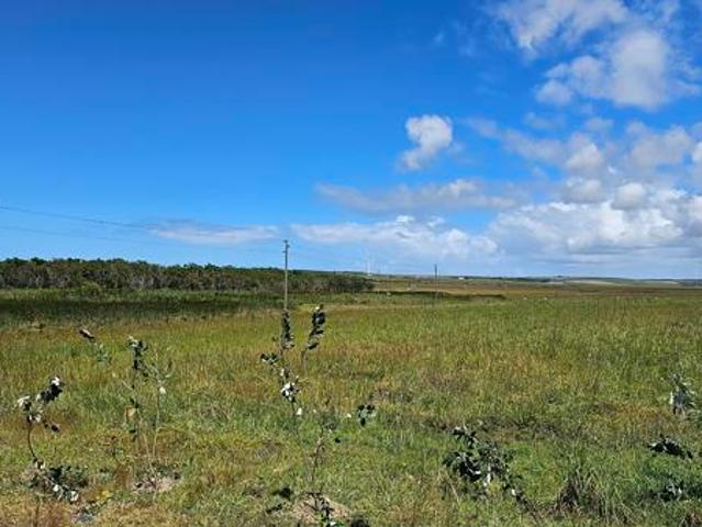 Farm for sale in Cape St Francis, Eastern Cape
