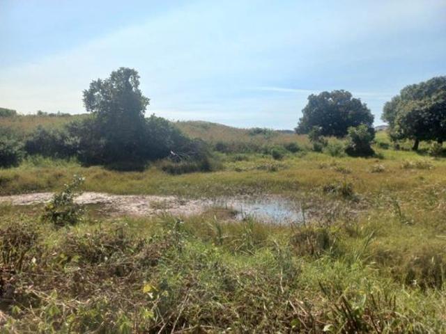 Property for sale in Mopani, Limpopo