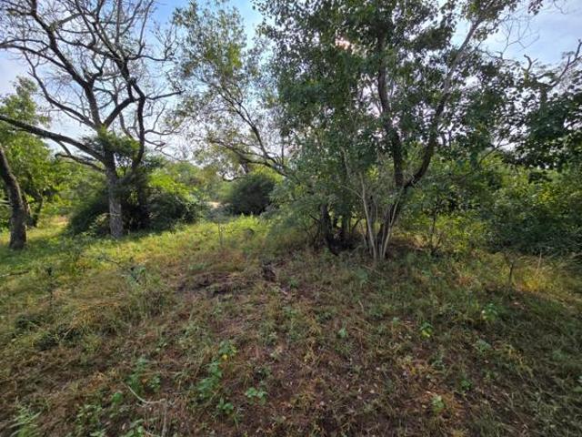 Property for sale in Ehlanzeni, Mpumalanga