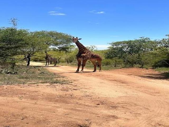 Property for sale in Ehlanzeni, Mpumalanga