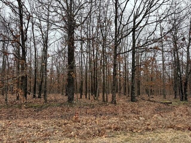 Land for sale in Tunas, Missouri