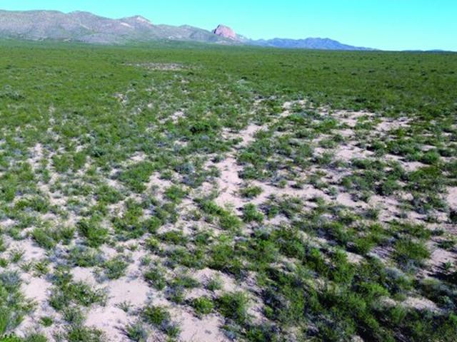 Land for sale in Cochise, Arizona