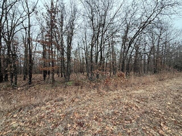Land for sale in Tunas, Missouri