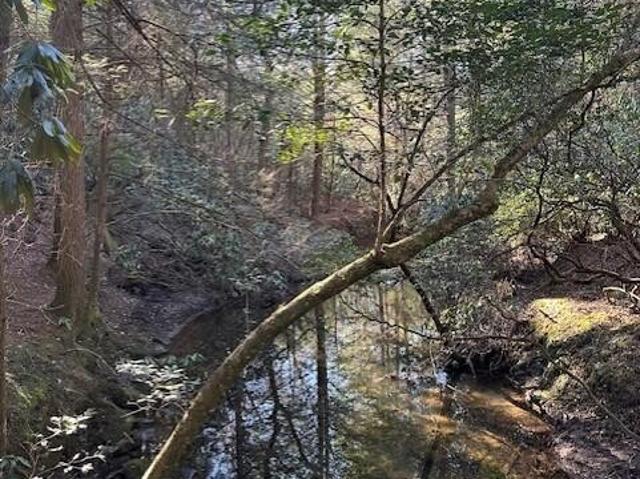 Land for sale in Tennessee