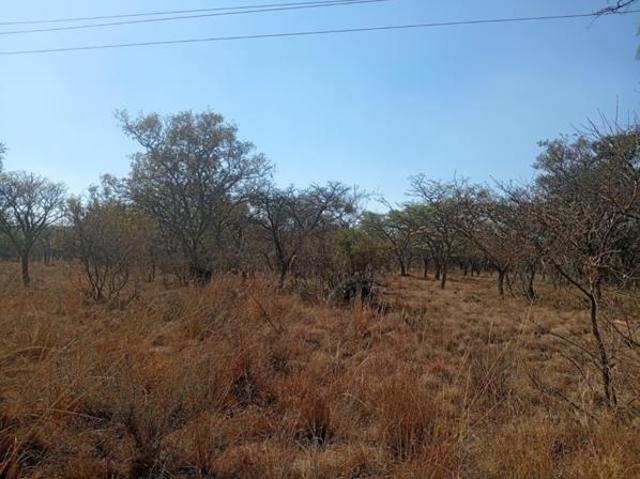 Property for sale in Limpopo