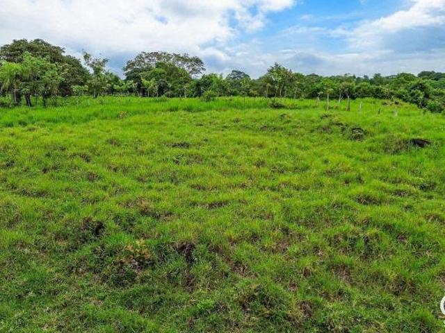 6.52 Hectáreas De Terreno Con Río Y Colina En Venta En Guaca, Dolega