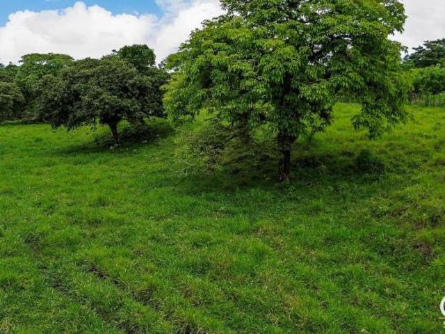 6.52 Hectáreas De Terreno Con Río Y Colina En Venta En Guaca, Dolega